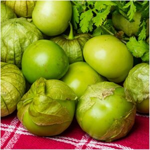 Seed Needs, Grande Rio Verde Tomatillo Seeds for Planting (Physalis ixocarpa) Single Package of 50 Seeds - Heirloom, Non-GMO & Untreated