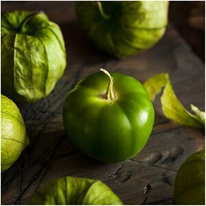 Seed Needs, Grande Rio Verde Tomatillo Seeds for Planting (Physalis ixocarpa) Single Package of 50 Seeds - Heirloom, Non-GMO & Untreated