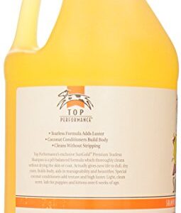 Top Performance SunGold Puppies and Kittens Shampoo, 1-Gallon