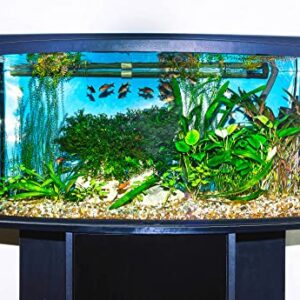 Gulfstream Tropical AGU030SM Mag-Float Glass Aquarium Cleaner, Small