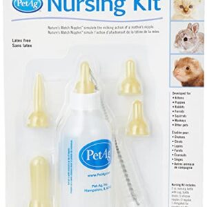 Pet-Ag Nursing Kit 2oz Bottle (Carded)