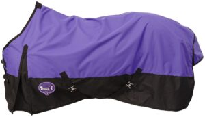 tough 1 600 denier waterproof horse sheet, purple, 78-inch