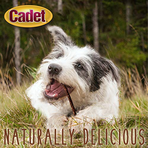 Cadet Premium Grade Munchy Beef Hide Sticks Beef Flavor 5 Inch, 100 Pack