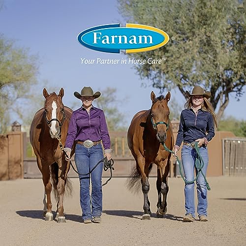 Farnam Apple Elite Horse Electrolyte Powder, Replaces minerals lost in sweat during exercise, extreme weather & stressful conditions, 5 lb., 40 day supply