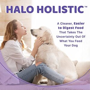 Halo Adult Dog Chicken Stew 5.5 oz. Can (Pack of 12)