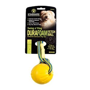 Starmark Swing 'n Fling DuraFoam Ball Dog Toy Medium