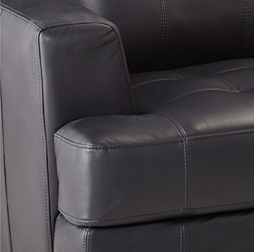 Coaster Samuel Transitional Leather Sofa, Black