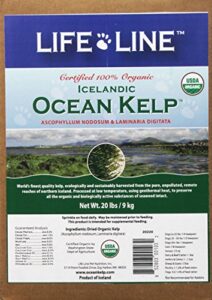 life line pet nutrition organic ocean kelp supplement for skin & coat, digestion in dogs & cats, 20lb (20220)