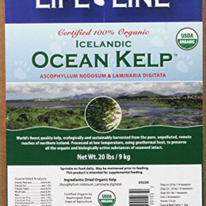 Life Line Pet Nutrition Organic Ocean Kelp Supplement for Skin & Coat, Digestion in Dogs & Cats, 20lb (20220)