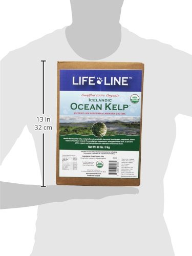 Life Line Pet Nutrition Organic Ocean Kelp Supplement for Skin & Coat, Digestion in Dogs & Cats, 20lb (20220)