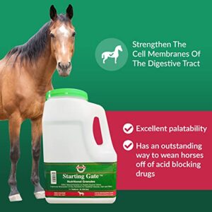 SBS Equine Starting Gate Granules for Horses | Horse calming Supplement that prevents & reverses gastric equine Ulcers | 1.1 Gallon | 3 Week Supply