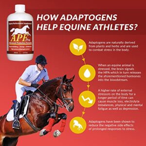 APF PRO Equine | Natural University-Level researched Horse Supplement | Gastric Health, Resistance to Stress, Immune Support, Muscle Health, Endurance