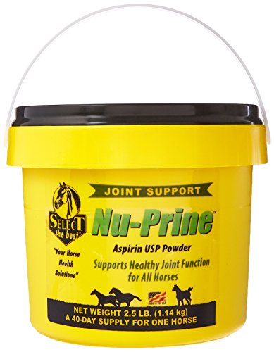 richdel inc 860308 2.5 LB, Nu-Prine Aspirin