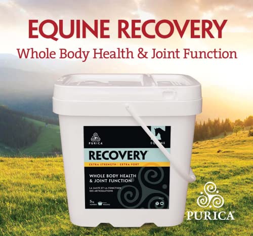 PURICA Equine Recovery Extra Strength (W/Ha) - 5kg/11 Lb