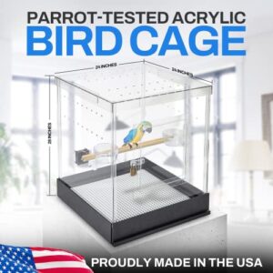 PENNZONI Small Bird Cage, Acrylic Birdcage, Crystal Clear Acrylic Cage for Birds, Bird House for Parrots, Bird Cages for Parakeets