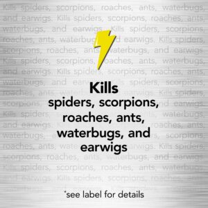 Raid Spider and Scorpion Killer, Kills spiders, scorpions, roaches, ants, Waterbugs, earwigs, 12 Oz