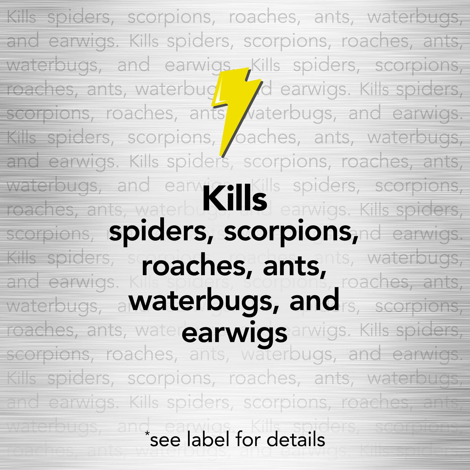 Raid Spider and Scorpion Killer, Kills spiders, scorpions, roaches, ants, Waterbugs, earwigs, 12 Oz