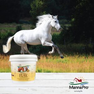 Manna Pro Simply Flax for Horses | Omega-3 Fatty Acids from Flaxseed | 8 Pounds