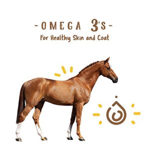 Manna Pro Simply Flax for Horses | Omega-3 Fatty Acids from Flaxseed | 8 Pounds