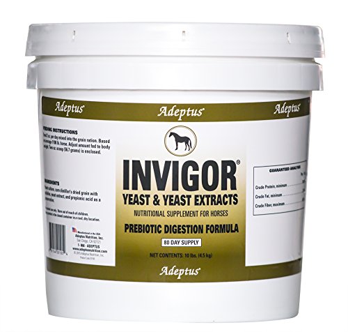 Adeptus Nutrition Invigor EQ Joint Supplements, 20 lb./12 x 12 x 12