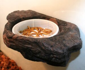 magnaturals small worm feeder ledge earth - magnetic decor