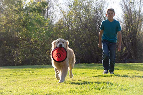 Hyper Pet Flippy Flopper Dog Frisbee Interactive Dog Toys [Flying Disc Dog Fetch Toy – Floats in Water & Safe on Teeth] (Colors Will Vary), Multicolor, 9"