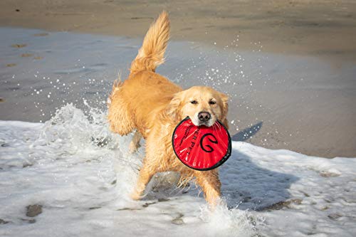 Hyper Pet Flippy Flopper Dog Frisbee Interactive Dog Toys [Flying Disc Dog Fetch Toy – Floats in Water & Safe on Teeth] (Colors Will Vary), Multicolor, 9"