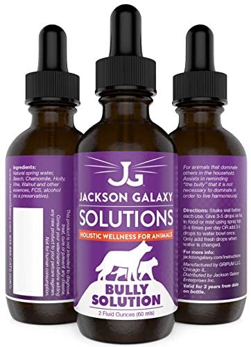 Jackson Galaxy: Bully Solution (2 oz.) - Pet Solution - Promotes Relaxation and Calmness - Can Support Bullying and Dominance - All-Natural Formula - Reiki Energy