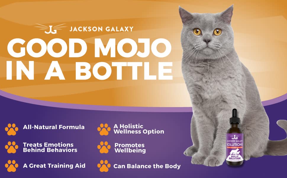 Jackson Galaxy: Bully Solution (2 oz.) - Pet Solution - Promotes Relaxation and Calmness - Can Support Bullying and Dominance - All-Natural Formula - Reiki Energy