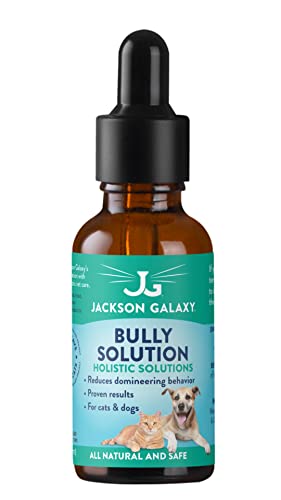 Jackson Galaxy: Bully Solution (2 oz.) - Pet Solution - Promotes Relaxation and Calmness - Can Support Bullying and Dominance - All-Natural Formula - Reiki Energy