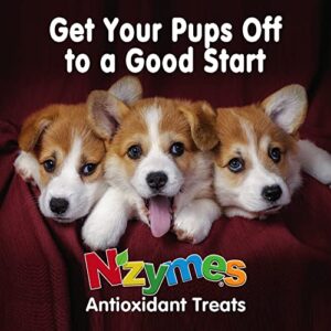 Nzymes® Antioxidant Dog Treats - for Dogs Joints, Hips, Paralysis, Skin, Coat, Hair Loss, Aging, Digestion, Neurological, Seizures - Dog Treats for Large Dog - 60 Treats - Made in The USA