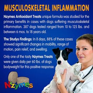 Nzymes® Antioxidant Dog Treats - for Dogs Joints, Hips, Paralysis, Skin, Coat, Hair Loss, Aging, Digestion, Neurological, Seizures - Dog Treats for Large Dog - 60 Treats - Made in The USA