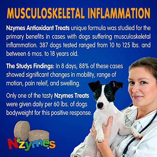 Nzymes® Antioxidant Dog Treats - for Dogs Joints, Hips, Paralysis, Skin, Coat, Hair Loss, Aging, Digestion, Neurological, Seizures - Dog Treats for Large Dog - 60 Treats - Made in The USA