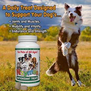 Nzymes® Antioxidant Dog Treats - for Dogs Joints, Hips, Paralysis, Skin, Coat, Hair Loss, Aging, Digestion, Neurological, Seizures - Dog Treats for Large Dog - 60 Treats - Made in The USA