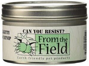 from the field 1-ounce can you resist catnip kitty safe stalkless tin can