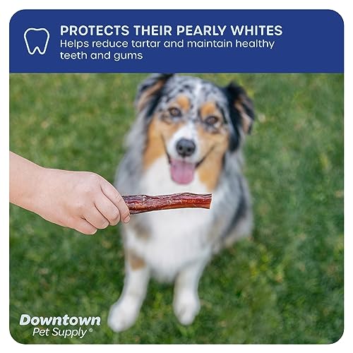 Downtown Pet Supply 6 inch 10 Pack of Bully Sticks for Medium Dogs & Large Dogs, Single Ingredient, Rawhide-Free Long Lasting Bully Sticks for Medium Dogs- No Hide Bullsticks for Bully Stick Holder