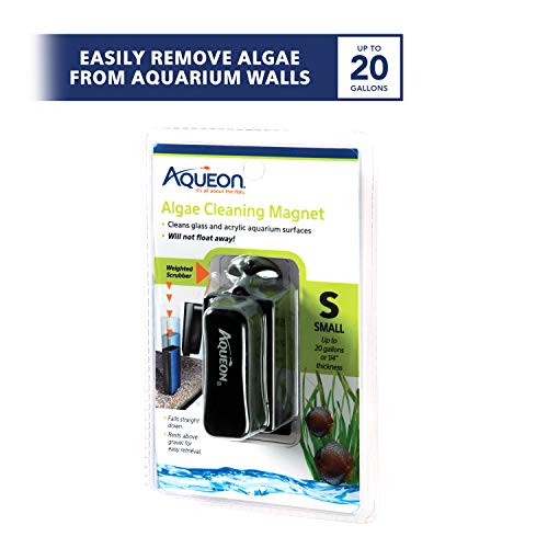 Aqueon Aquarium Algae Cleaning Magnets Glass/Acrylic, Small, Black