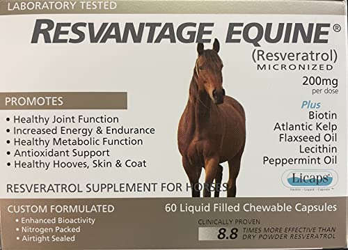 Resvantage Equine Supplement 60 chewable resveratrol Liquid Filled Capsules for Horses