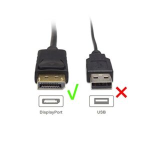 Cable Matters DisplayPort to DVI Cable (DP to DVI Cable) 6 Feet