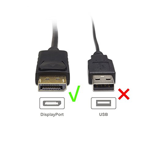 Cable Matters DisplayPort to DVI Cable (DP to DVI Cable) 6 Feet