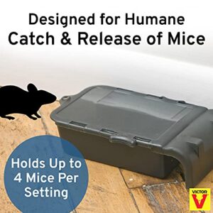 Victor M333 Multiple Catch Humane Outdoor and Indoor Mouse Trap