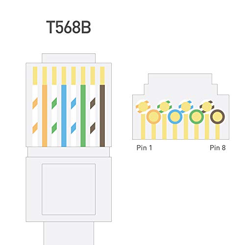 Cable Matters 100 Pack Cat 6 / Cat6 RJ45 Modular Plugs for Solid or Stranded UTP Cable / RJ45 Plugs