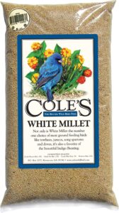 cole's mi10 white millet bird seed, 10-pound