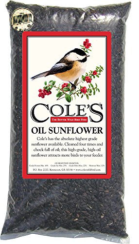 Cole's OS08 Black Oil Sunflower Bird Seed, 8-Pound