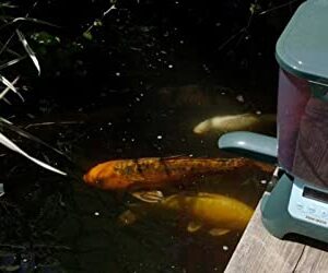 Fish Mate P7000 Large Capacity, Rain-Resistant Pond Fish Feeder