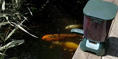 Fish Mate P7000 Large Capacity, Rain-Resistant Pond Fish Feeder