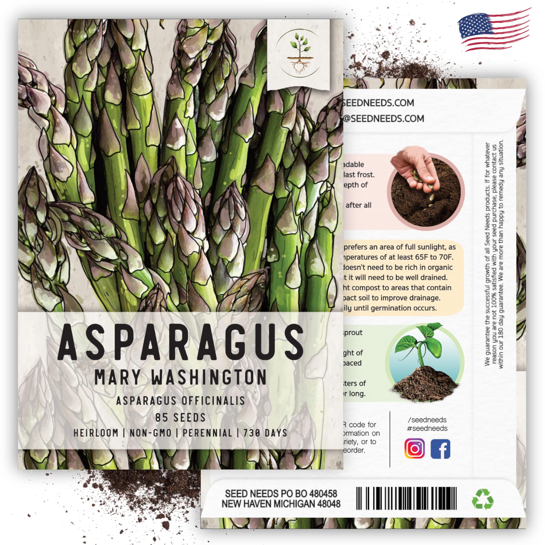 Seed Needs, Mary Washington Asparagus Seeds for Planting (Asparagus officinalis) Heirloom, Non-GMO & Untreated (2 Packs)