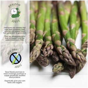 Seed Needs, Mary Washington Asparagus Seeds for Planting (Asparagus officinalis) Heirloom, Non-GMO & Untreated (2 Packs)