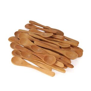 Bamboo tiny spoon/Mini Wooden Spoons for Salt and Spices, 10pcs Carbonized Brown 3.5"