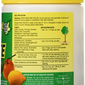 Grow More 7450 8-Ounce Organic Iron Chelate Concentrate